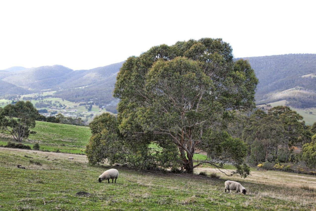 House On The Hill Bed And Breakfast Huonville Extérieur photo